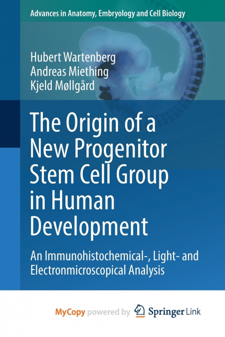 The Origin of a New Progenitor Stem Cell Group in Human Development