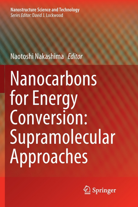 Nanocarbons for Energy Conversion