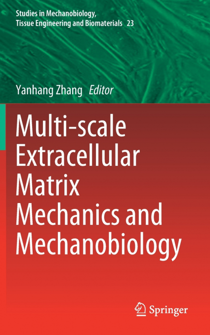 Multi-scale Extracellular Matrix Mechanics and Mechanobiology