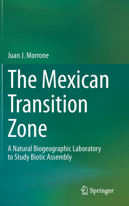 The Mexican Transition Zone