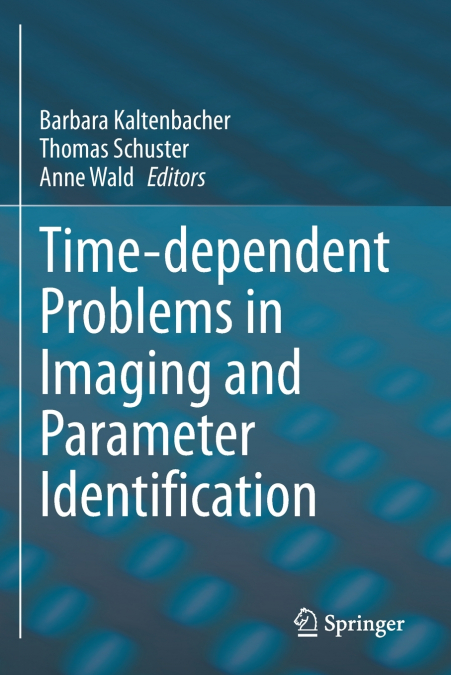 Time-dependent Problems in Imaging and Parameter Identification