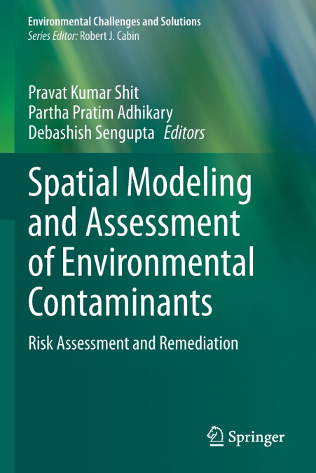 Spatial Modeling and Assessment of Environmental Contaminants