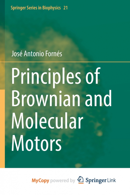 Principles of Brownian and Molecular Motors