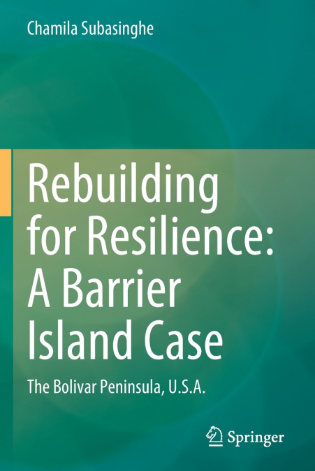 Rebuilding for Resilience