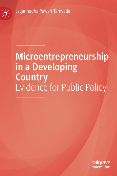 Microentrepreneurship in a Developing Country