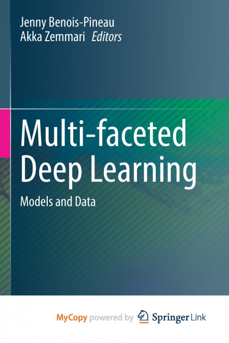 Multi-faceted Deep Learning