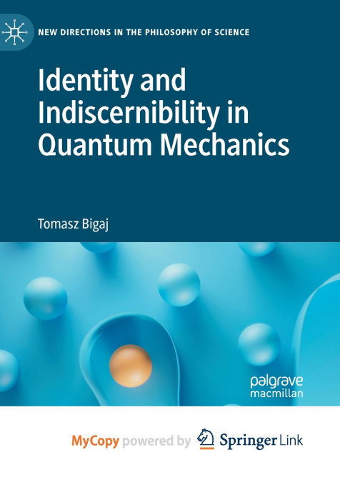 Identity and Indiscernibility in Quantum Mechanics