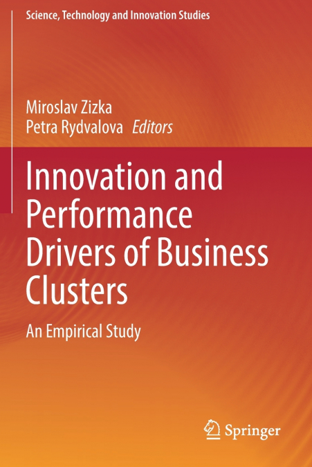 Innovation and Performance Drivers of Business Clusters