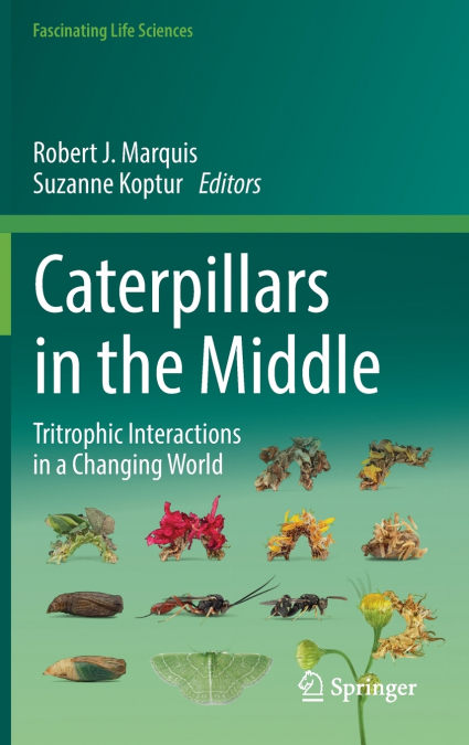 Caterpillars in the Middle