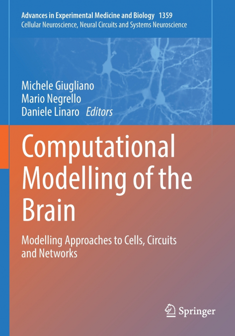 Computational Modelling of the Brain