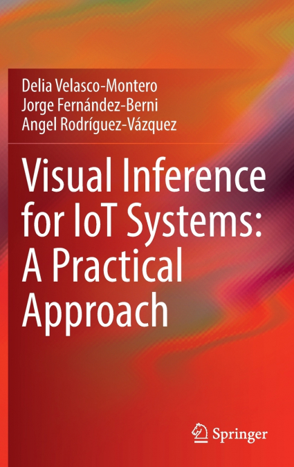 Visual Inference for IoT Systems