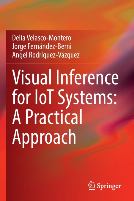 Visual Inference for IoT Systems