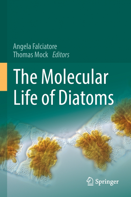 The Molecular Life of Diatoms