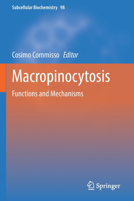 Macropinocytosis
