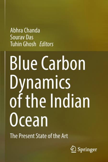 Blue Carbon Dynamics of the Indian Ocean