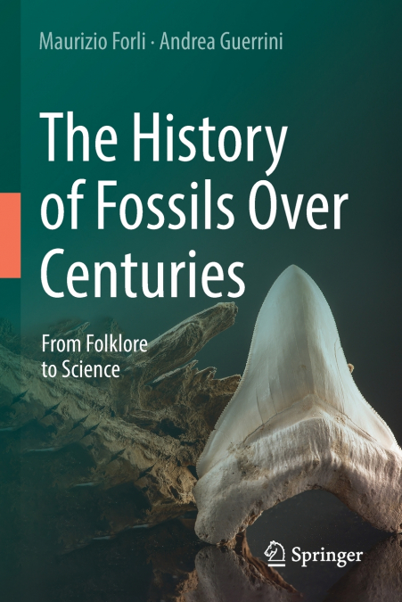 The History of Fossils Over Centuries