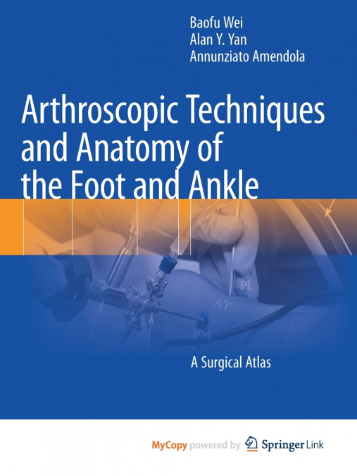 Arthroscopic Techniques and Anatomy of the Foot and Ankle