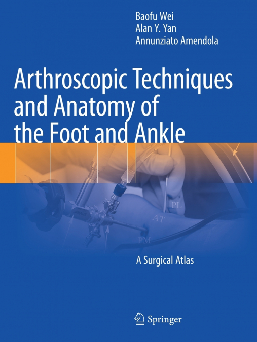 Arthroscopic Techniques and Anatomy of the Foot and Ankle