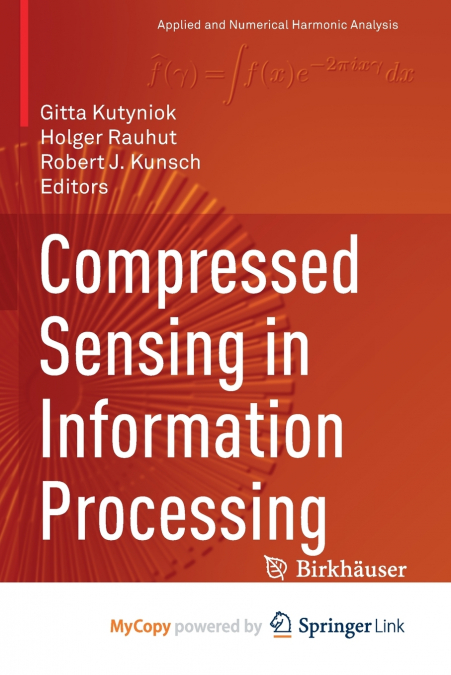 Compressed Sensing in Information Processing