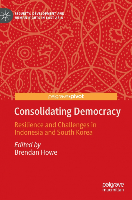 Consolidating Democracy
