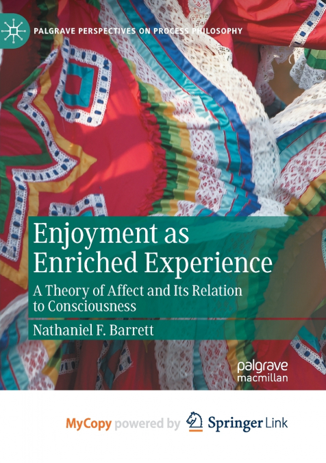 Enjoyment as Enriched Experience