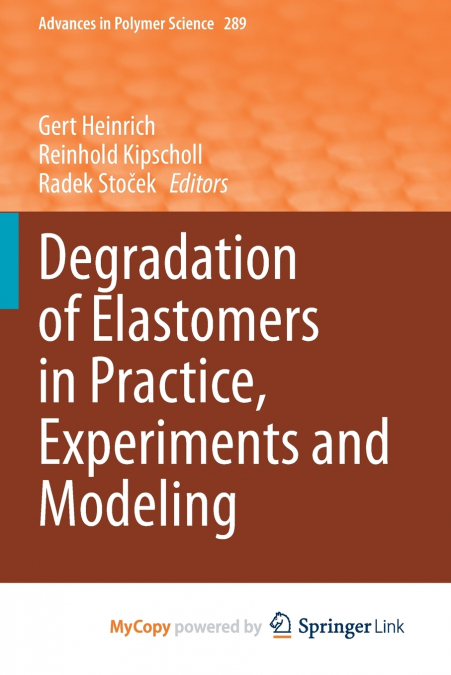 Degradation of Elastomers in Practice, Experiments and Modeling