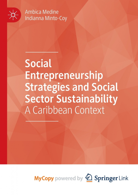 Social Entrepreneurship Strategies and Social Sector Sustainability