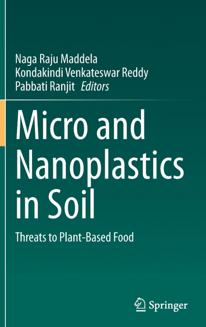 Micro and Nanoplastics in Soil