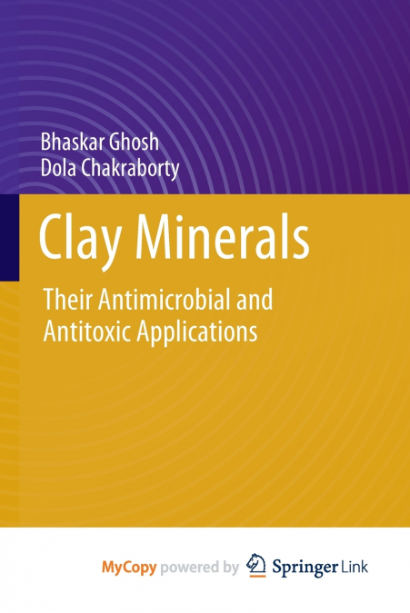 Clay Minerals
