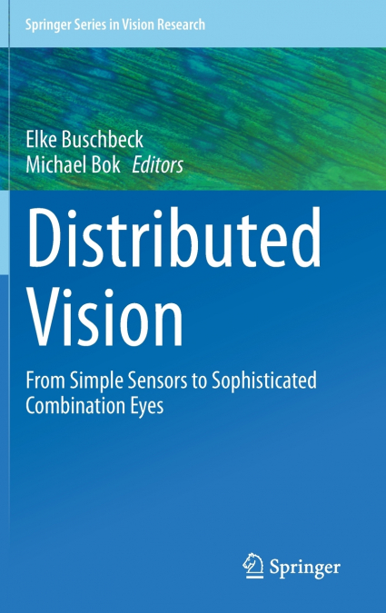 Distributed Vision