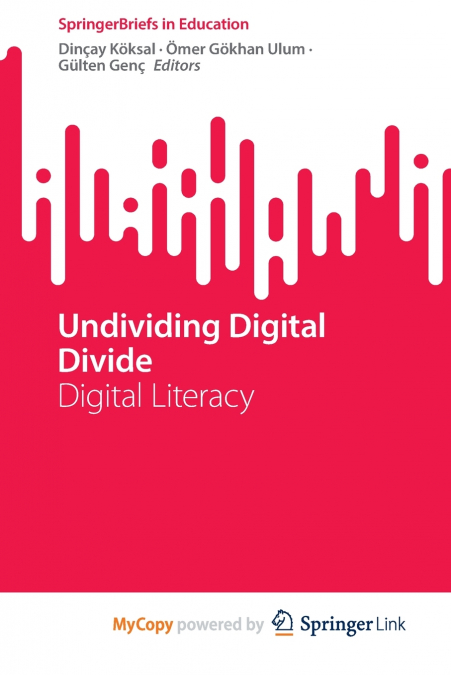 Undividing Digital Divide