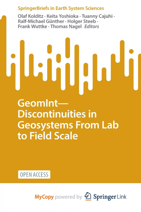 GeomInt-Discontinuities in Geosystems From Lab to Field Scale