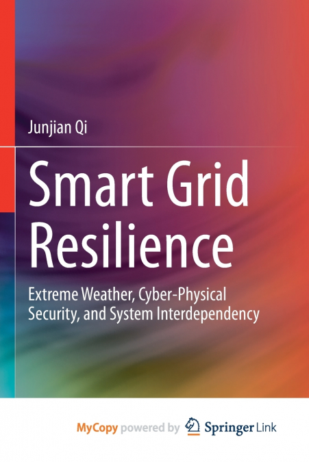 Smart Grid Resilience