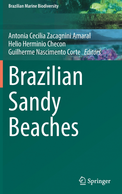 Brazilian Sandy Beaches