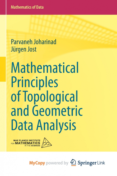Mathematical Principles of Topological and Geometric Data Analysis