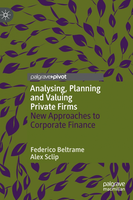 Analysing, Planning and Valuing Private Firms