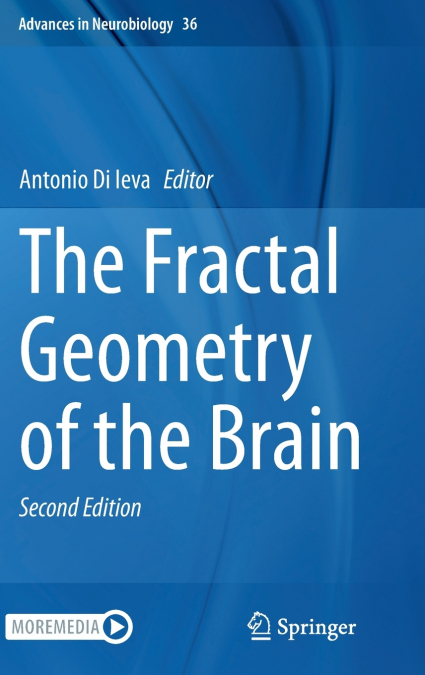 The Fractal Geometry of the Brain