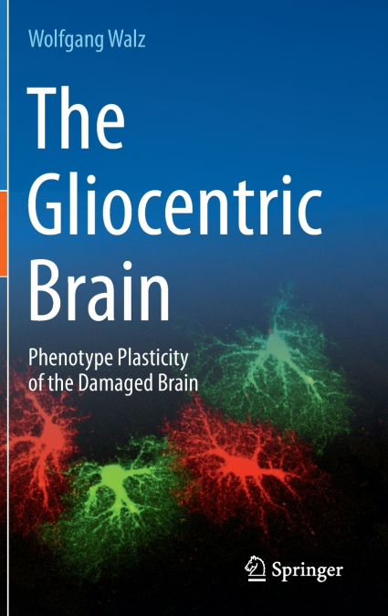 The Gliocentric Brain