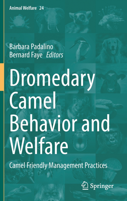 Dromedary Camel Behavior and Welfare