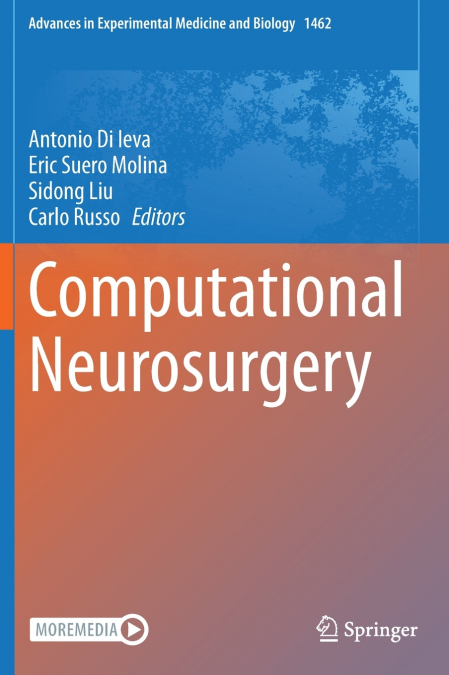 Computational Neurosurgery