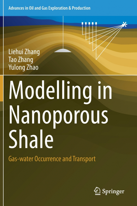 Modelling in Nanoporous Shale