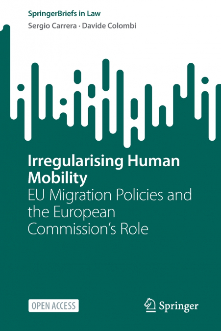 Irregularising Human Mobility