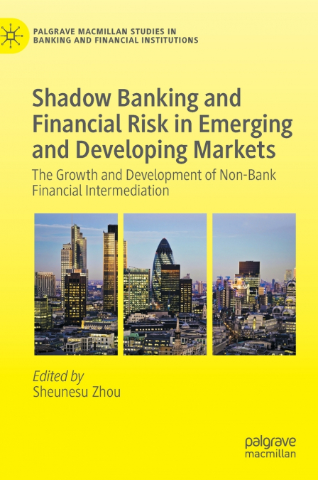 Shadow Banking and Financial Risk in Emerging and Developing Markets