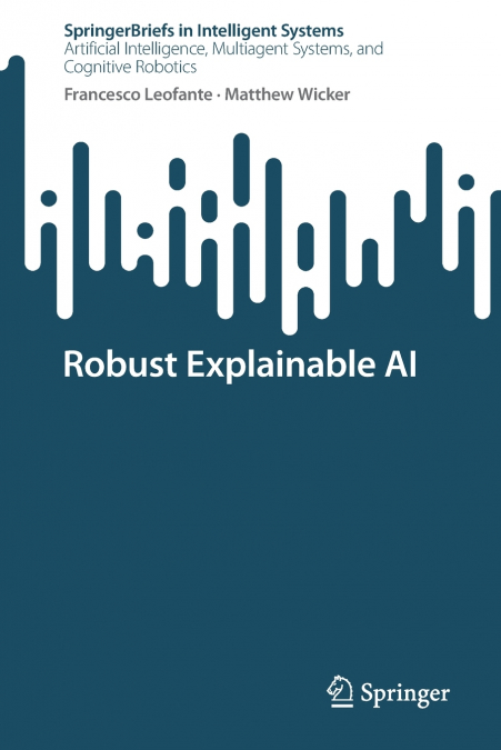 Robust Explainable AI