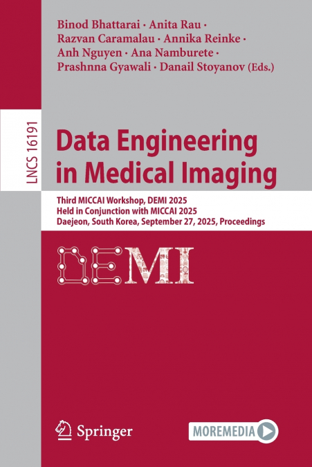 Data Engineering in Medical Imaging