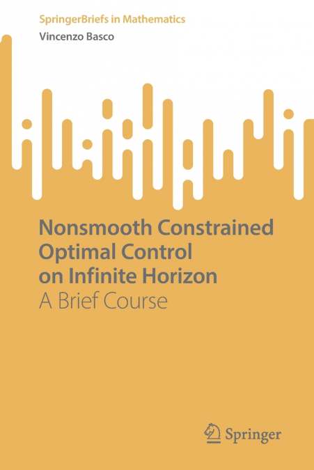 Nonsmooth Constrained Optimal Control on Infinite Horizon