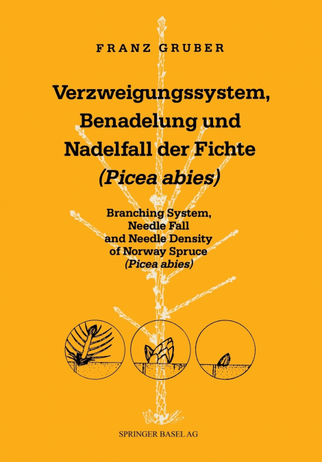 Verzweigungssystem, Benadelung und Nadelfall der Fichte (Picea abies)