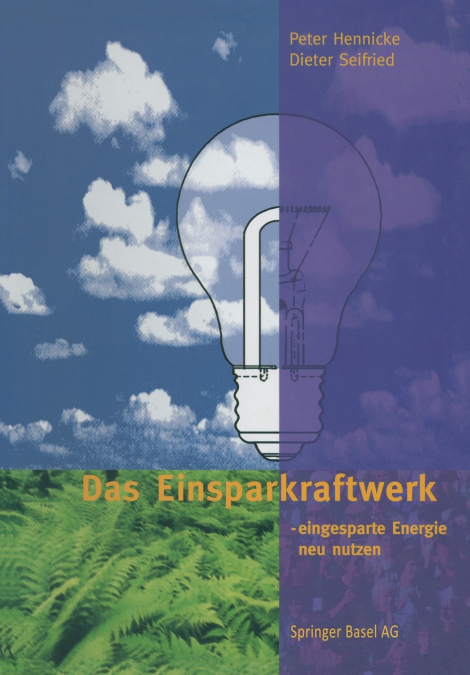 Das Einsparkraftwerk