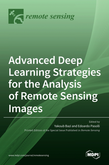 Advanced Deep Learning Strategies for the Analysis of Remote Sensing Images