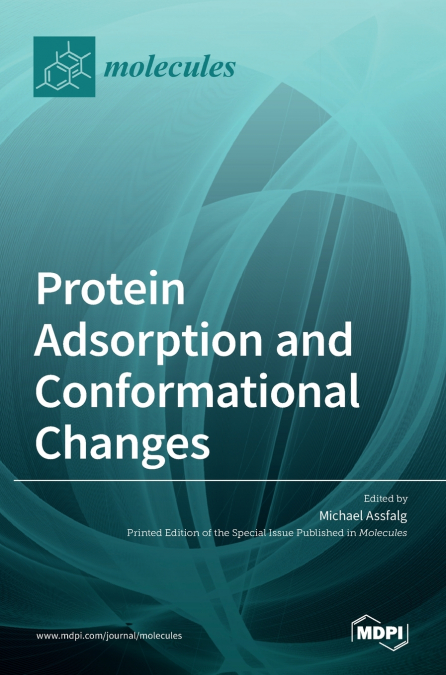 Protein Adsorption and Conformational Changes